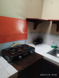 莱蒂西亚Don Ramirez的厨房配有炉灶和水槽
