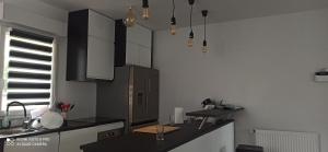 BiardMaison proche centre ville的厨房配有黑色台面和水槽