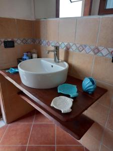 圣费利切-奇尔切奥Sole e mare的浴室内木制柜台上的水槽