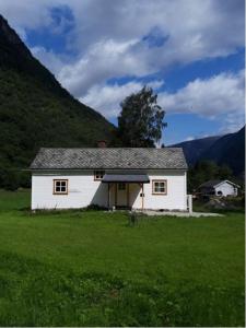 艾菲约德An authentic experience in picturesque Eidfjord的田野中间的白色房子