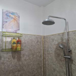 圣维森特Aquarius - Port Barton的带淋浴头和淋浴的浴室