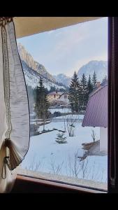 塔尔维西奥HOME PREDIL的窗户享有雪覆盖的田野美景