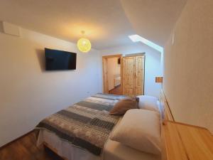 普利特维采湖Plitvice Green Valley的一间卧室配有一张床和一台平面电视