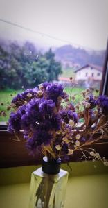 贝梅奥Casa Rural Asitxo的花瓶,花朵盛满紫色,坐在桌子上