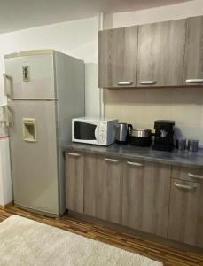 奥拉迪亚TALINA Apartament的厨房配有冰箱和微波炉。