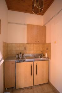 阿尔戈斯托利翁西北一室公寓酒店的一个带木制橱柜和水槽的厨房