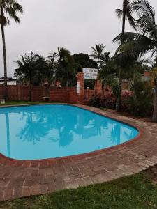 圣卢西亚23 Villa Mia St Lucia的棕榈树庭院里的一个大型蓝色游泳池