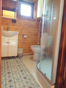 克尔茨什瓦拉乡Casa Fericirii的一间带卫生间和玻璃淋浴间的浴室