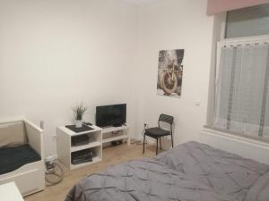科隆Apartment Cologne的一间卧室配有一张床、一台电视和一把椅子