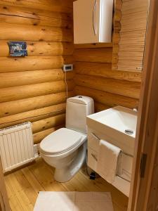 SiltakyläVänvik Pyhtää的浴室配有白色卫生间和盥洗盆。