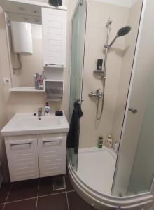 波斯蒂拉Apartman Elephant的带淋浴、盥洗盆和淋浴的浴室