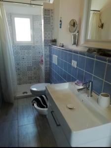 皮昂比诺La Casa di Nemo的浴室配有白色水槽和卫生间。