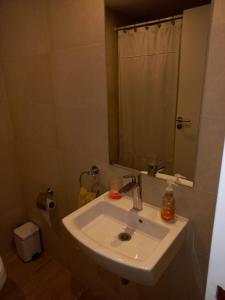 布宜诺斯艾利斯DEPTO NUEVO CON PILETA EN NUÑEZ的浴室设有白色水槽和镜子