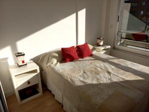 布宜诺斯艾利斯DEPTO NUEVO CON PILETA EN NUÑEZ的一间卧室配有一张带红色枕头的床和一扇窗户