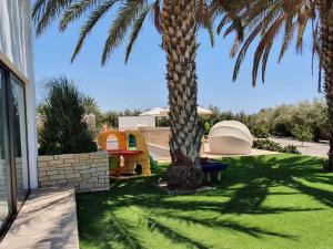 PaphosLuxury 6 bedrooms villa in Cyprus的房子的院子中的棕榈树