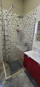 地拉那Bellesuite Tirana的带淋浴和盥洗盆的浴室