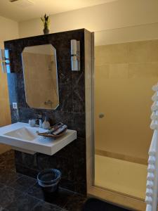 因特拉肯Hotel Lakeview bei Interlaken的一间带水槽和镜子的浴室