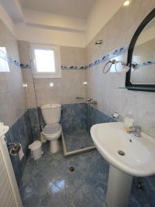 卡萨米尔Vila Mihasi的一间带卫生间和水槽的浴室
