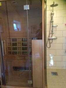 TingstädeMartebo Bed & Breakfast的浴室里设有玻璃门淋浴