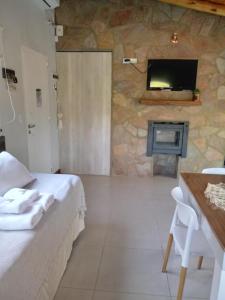 梅洛El Rincón de Alejo的一间卧室设有石制壁炉和墙上的电视。