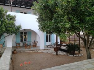 Gio st Gio apartment 2 Antiparos st Giorgio外面的花园