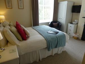康威Bryn Derwen Guest House的一间卧室配有一张床、一张书桌和一个窗户。