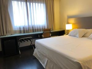 贝洛奥里藏特Hotel Gran Vivenzo Belo Horizonte的一间设有大床和窗户的酒店客房