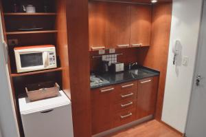布宜诺斯艾利斯Palermo Deluxe Apartment的一间带水槽和微波炉的小厨房