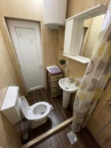 威尔帕扎JOCKER的一间带卫生间和水槽的小浴室