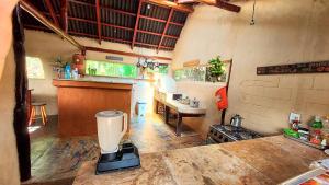 圣若热岛Coruja EcoGlamping的一间厨房,在房间的台面上安装搅拌机