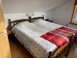 弗加尔巴卡Tallgatan Fjällbacka的一间卧室配有一张床铺,床上有毯子