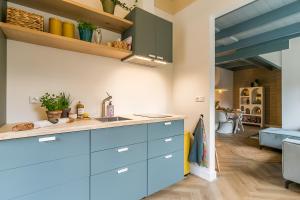 德文格洛Brinkzate - De Es的一间设有蓝色橱柜的厨房和一间客厅