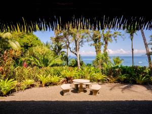 德雷克库帕阿波尔海滩雨林度假酒店的海滩上的野餐桌和长椅