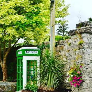 康镇Ryan's River Lodge B&B的石墙旁的绿色电话亭