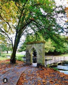 康镇Ryan's River Lodge B&B的公园里的一个拱门,有树和桥梁