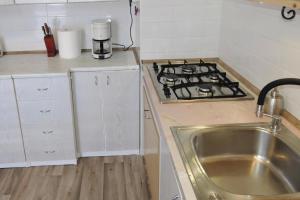 斯维诺乌伊希切Holiday flat, Swinoujscie的厨房配有水槽和炉灶