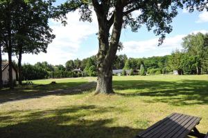什切青holiday home, Szczecin的田野里种着树和长凳的公园