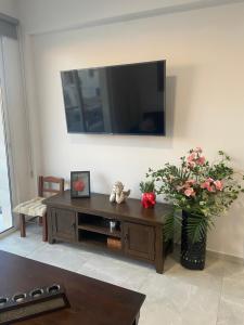 帕福斯Player Sea View apartment的一间带电视和花瓶的客厅