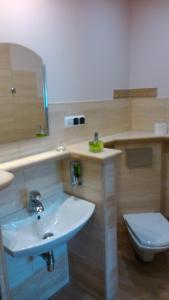 华沙IBIB PAN会议中心旅馆的浴室配有白色水槽和卫生间。