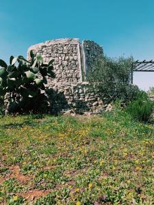 阿利斯泰Trullo Contrada Stracca的一座古老的石头建筑,位于山丘上,有仙人掌