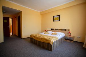 蒂米什瓦拉亚历山德拉酒店的一间卧室设有一张黄色墙壁的大床