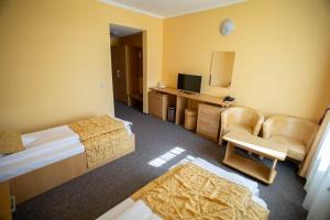 蒂米什瓦拉亚历山德拉酒店的酒店客房设有两张床和电视。