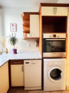 维斯普雷姆Vándor Apartman的厨房配有洗衣机和烘干机