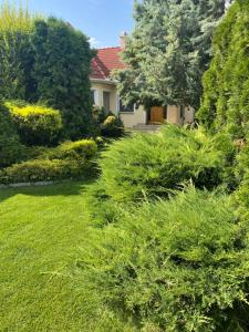 加尔多尼Villa Relax Apartman的绿树成荫的花园