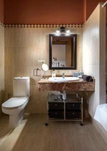 哈卡Sol Badaguas Jaca的一间带卫生间、水槽和镜子的浴室