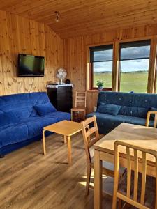 塞尔福斯Bright and Peaceful Cabin with Views & Hot Tub的客厅配有蓝色的沙发和电视