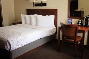 摩押博文汽车旅馆的一张位于酒店客房的床位,配有一张桌子和一把椅子