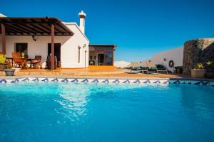 GüimeEslanzarote Acoruma House, Super Wifi, Heated Pool的一群鸟坐在游泳池的顶端