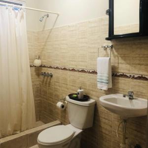 拉罗马纳Apartamento CGM de 1 habitación的一间带卫生间和水槽的浴室