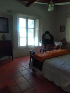 圣安东尼奥德阿雷科El Tramway Casa Antigua de Campo的一间卧室设有一张床和一个大窗户